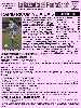 Giornale Gazzetta del Fantasport della giornata n. 14 - Fantacalcio